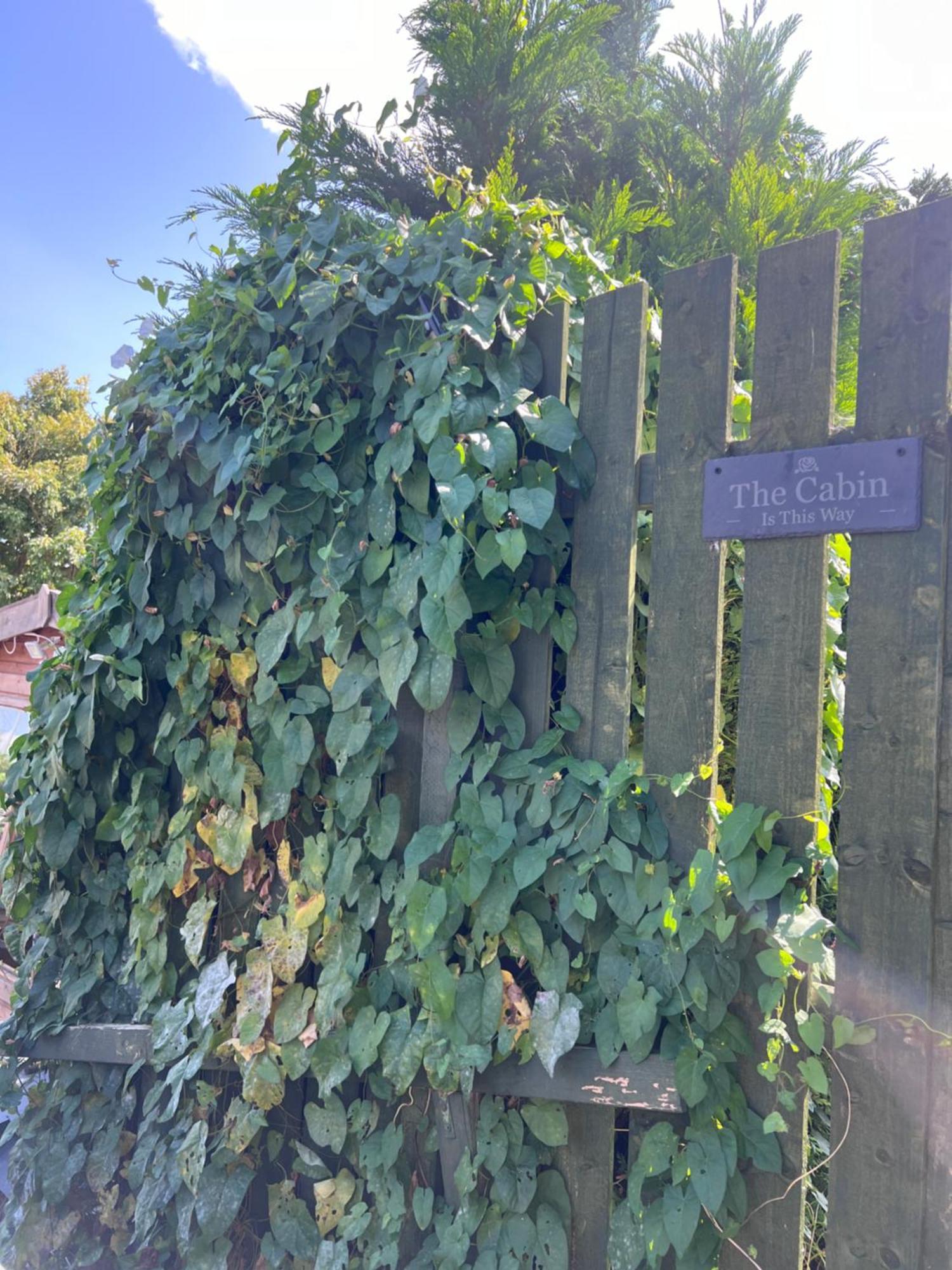 The Cabin Bradford-On-Avon Exterior foto